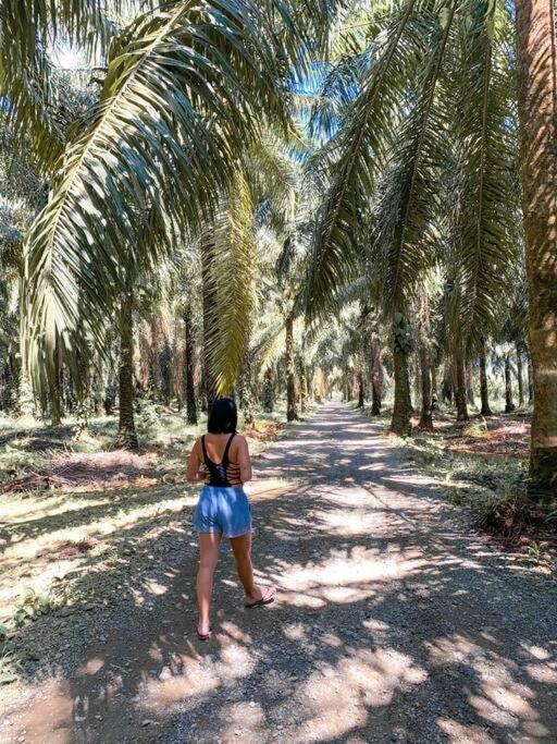 فيلا Casa Pacifico كيبوس المظهر الخارجي الصورة